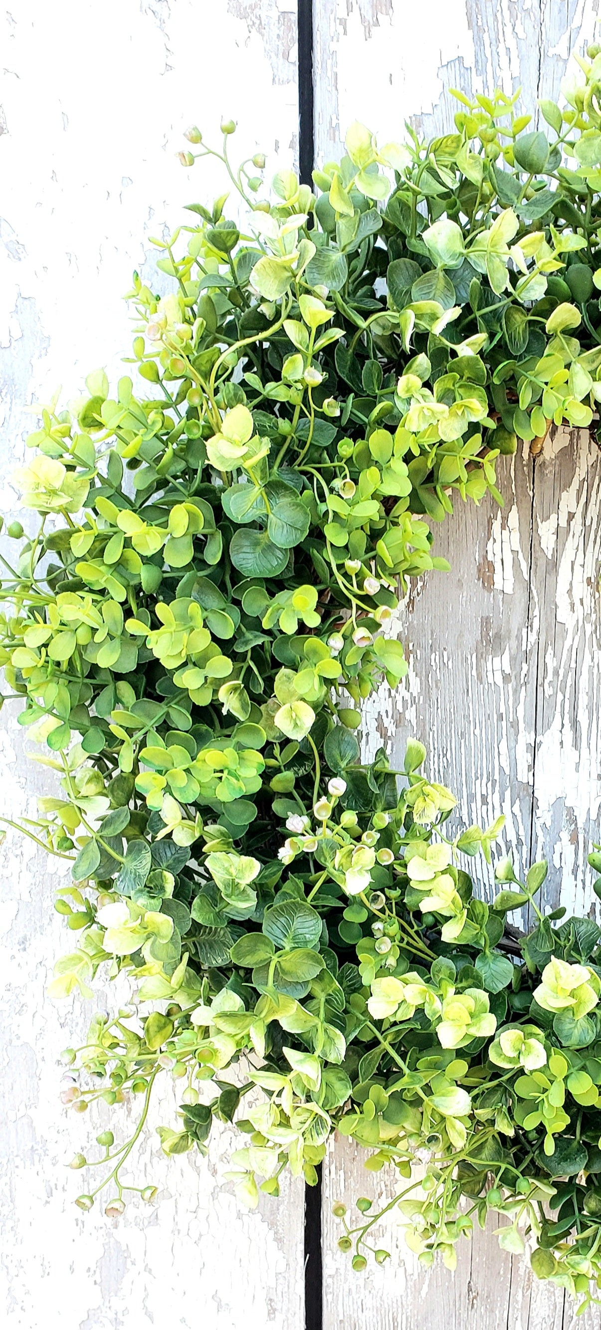 Everyday Eucalyptus Wreath