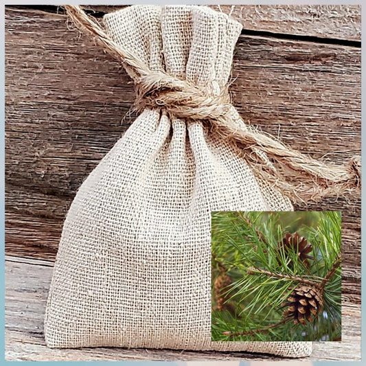 Evergreen Scented Sachet