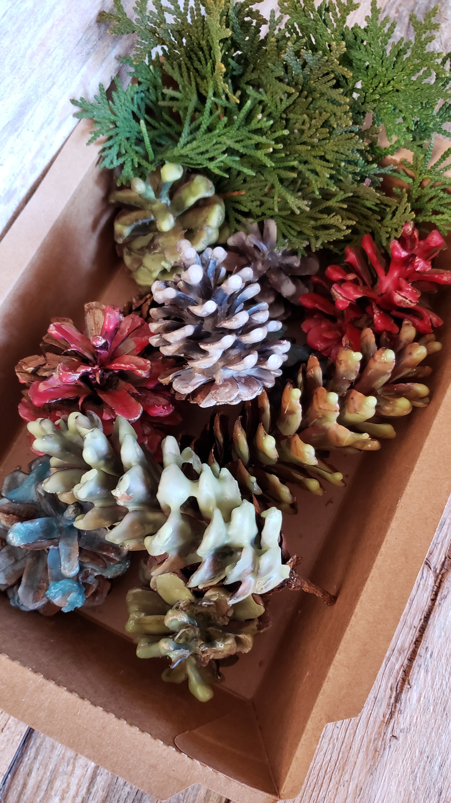 Pinecone Fire Starter Gift Box LIMITED HOLIDAY EDITION