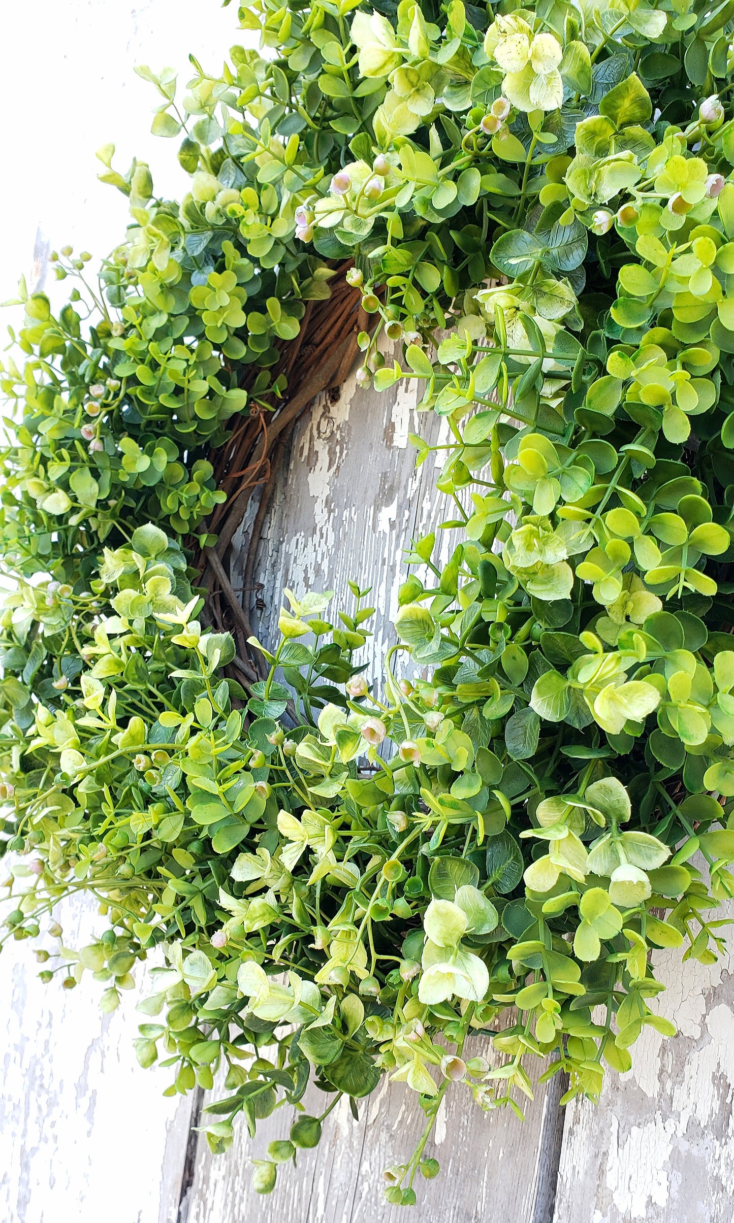 Everyday Eucalyptus Wreath