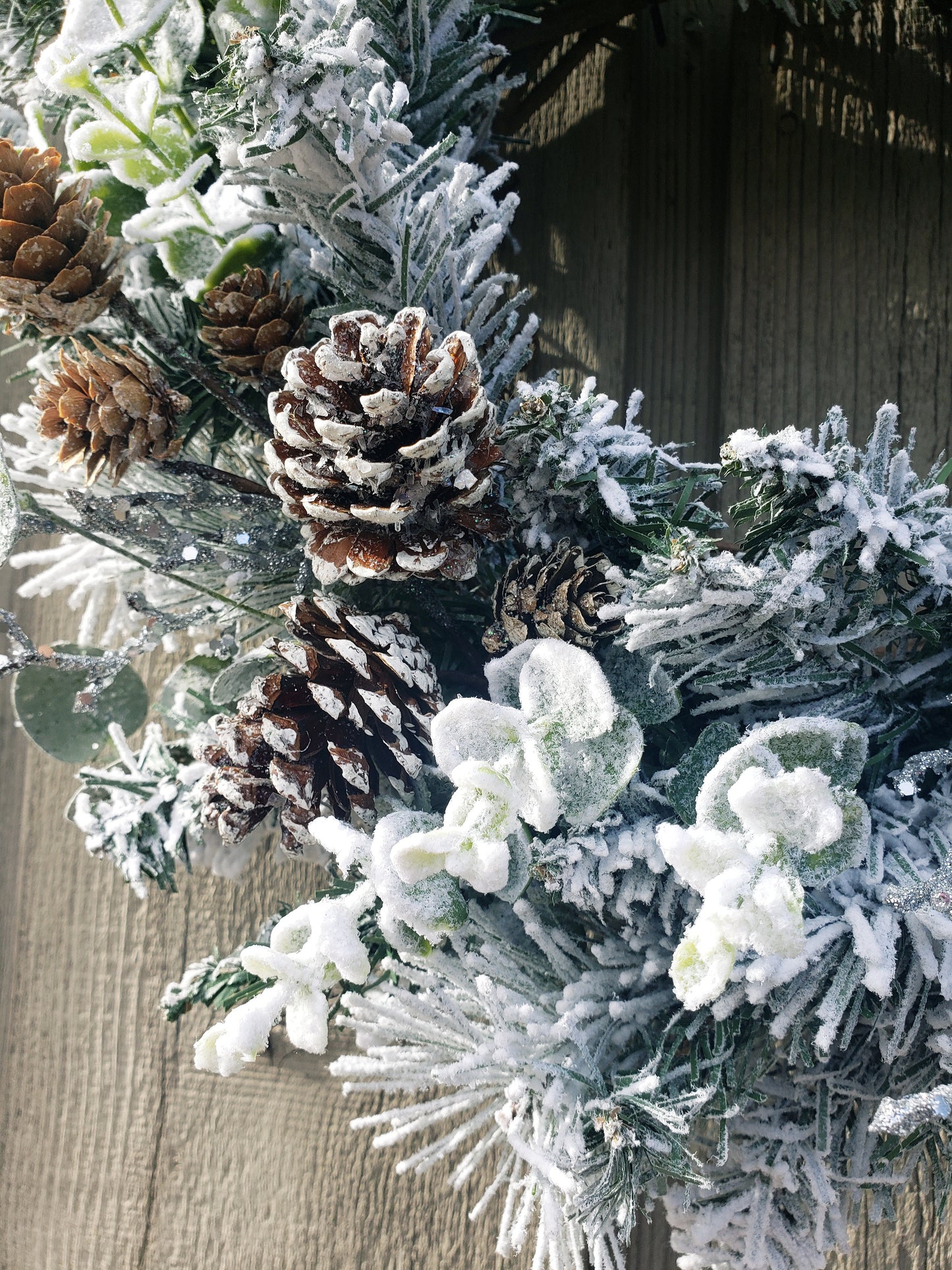 Frosted Winter Wreath