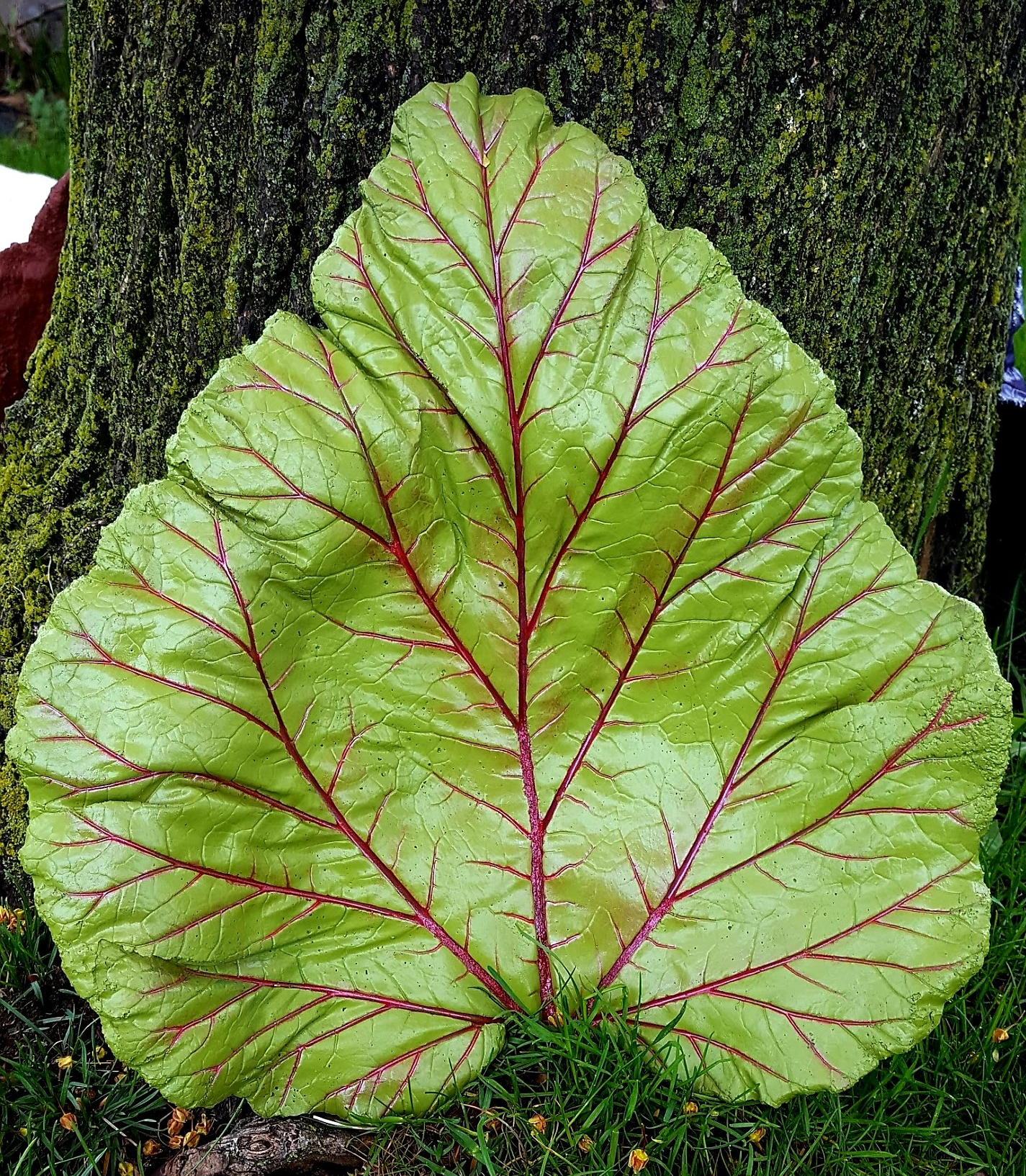 Concrete Rhubarb Leaf $25.00-$45