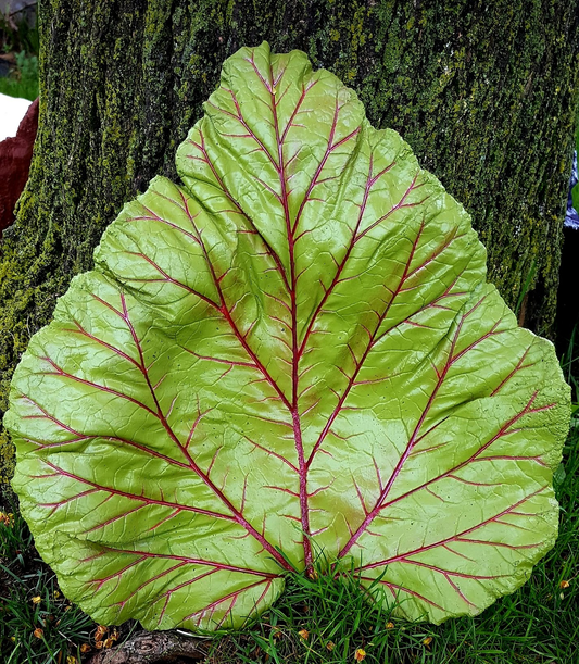 Concrete Rhubarb Leaf $25.00-$45