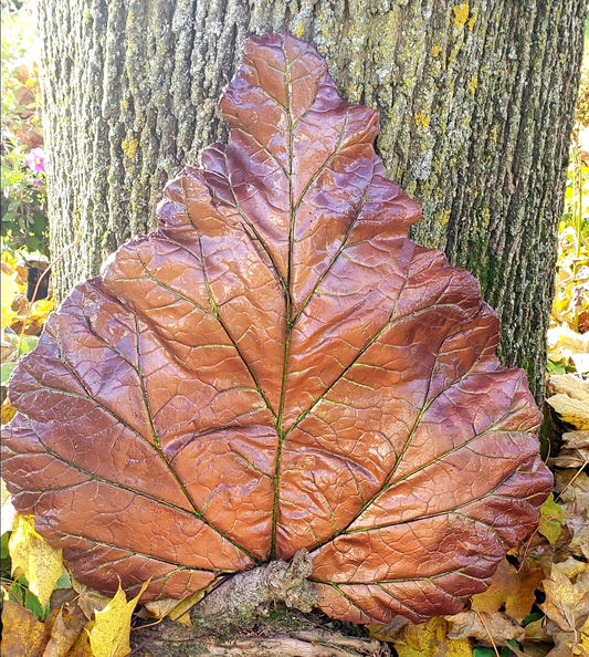 Concrete Rhubarb Leaf $25-$100