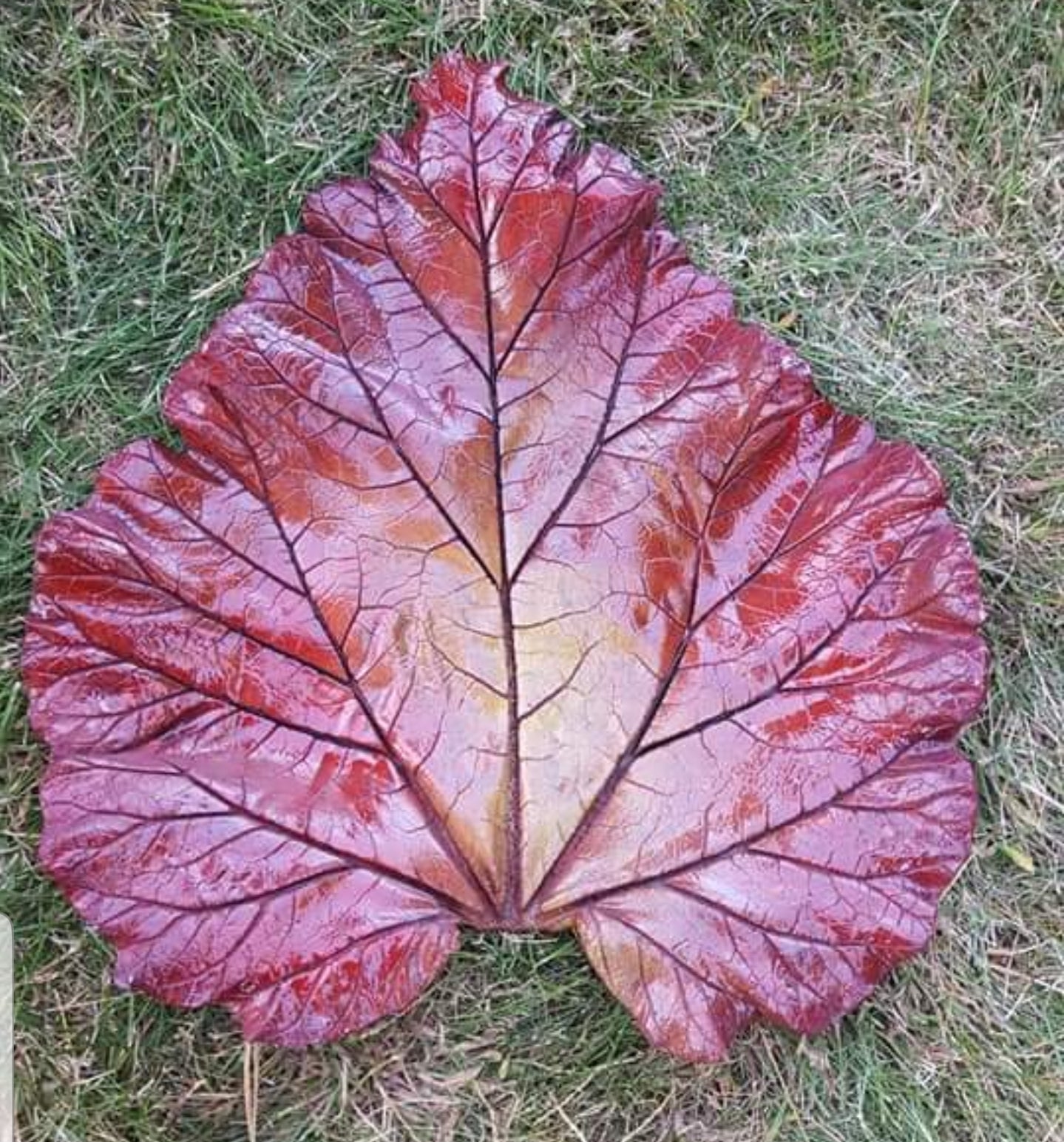 Concrete Rhubard Leaf $25.00-$100