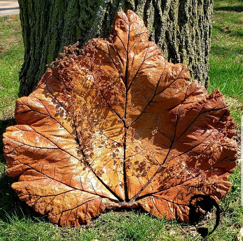 Concrete Rhubarb Leaf $25-$100