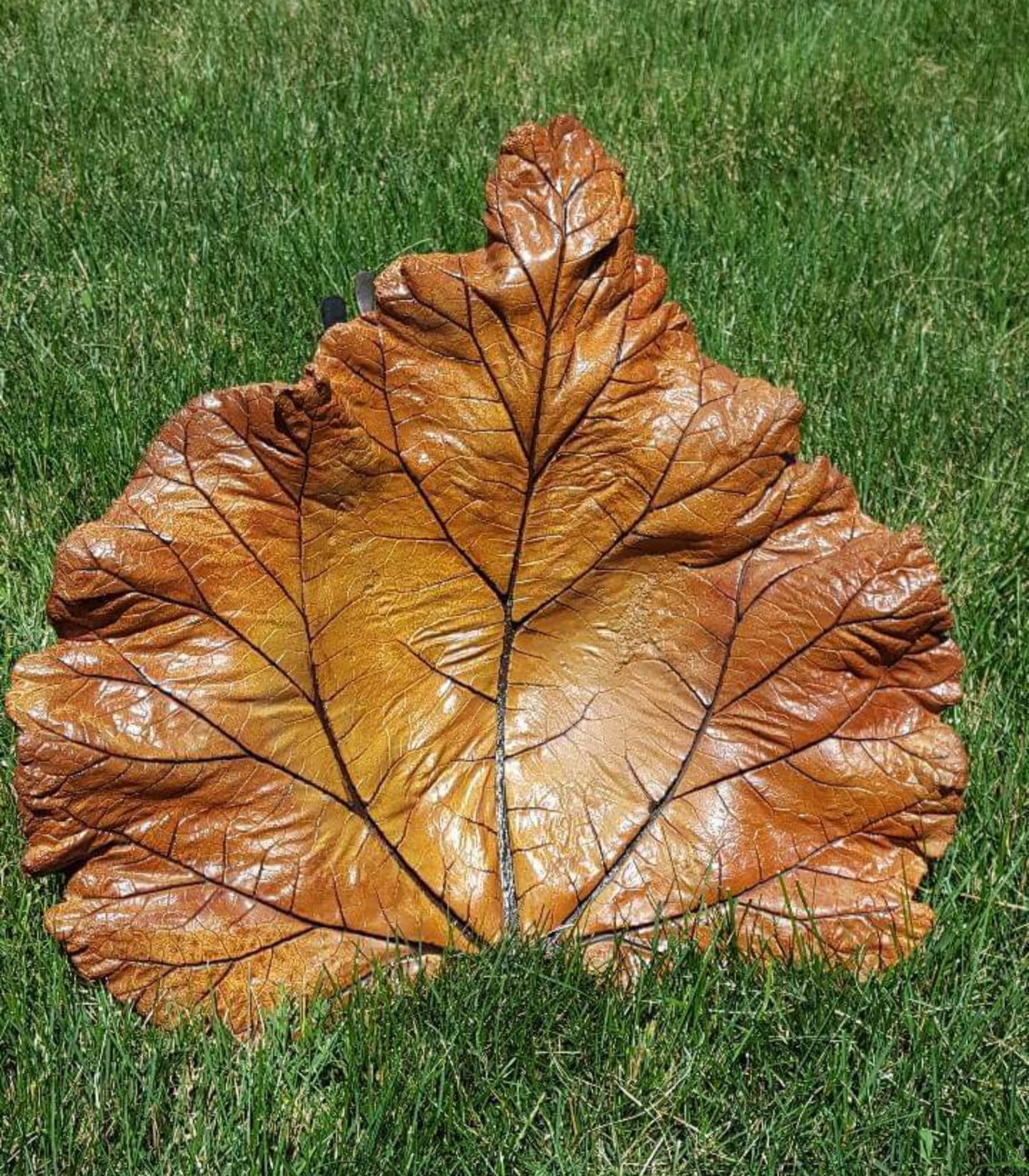 Concrete Rhubarb Leaf $25.00-$55