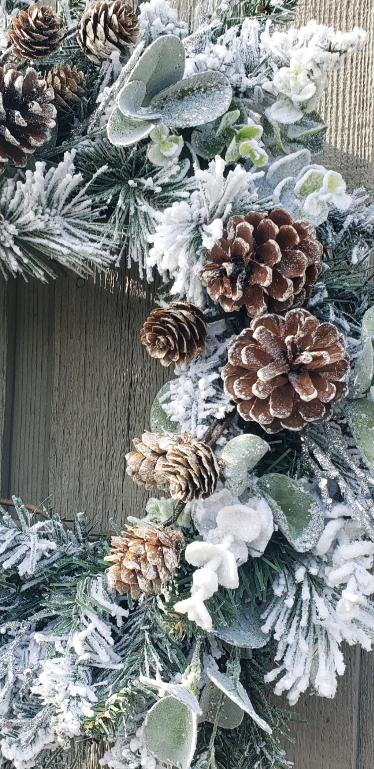 Frosted Winter Wreath